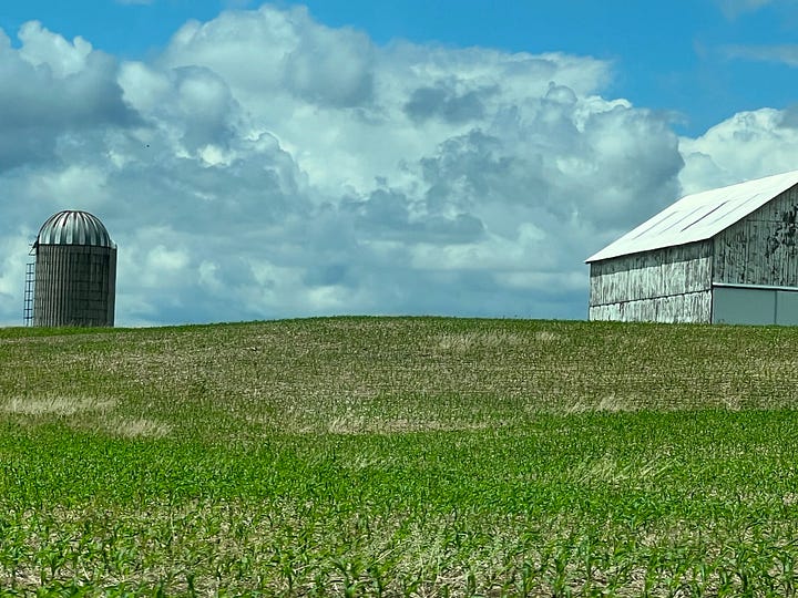 Roadside Barn and Silo Photo and the painting: "Knob Creek"  corn fields