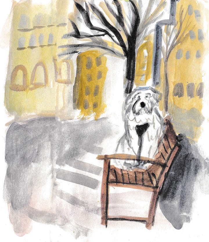 dog illustrations by Beth Spencer