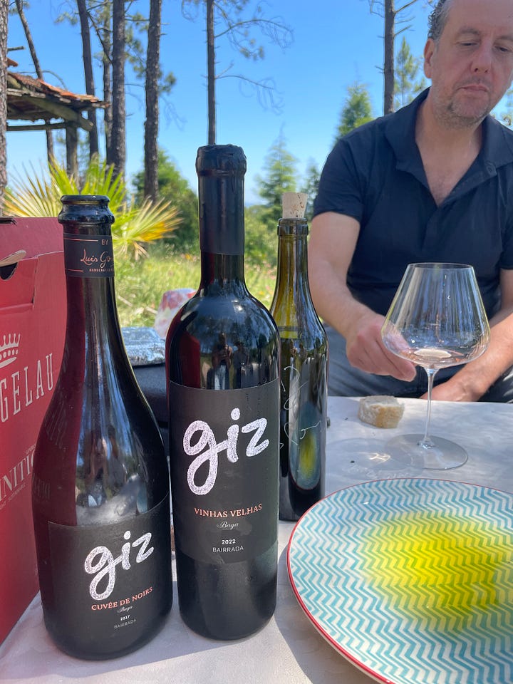 Baga vineyards Giz by Luis Gomes