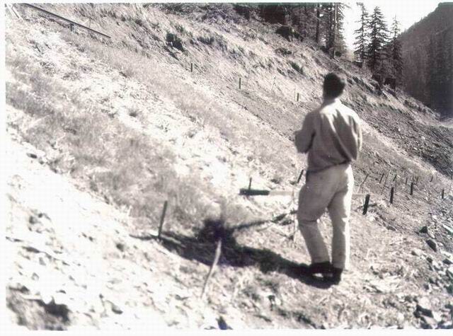 logged off land, a man working with instruments on land and in stream, man on hillside preparing to replant