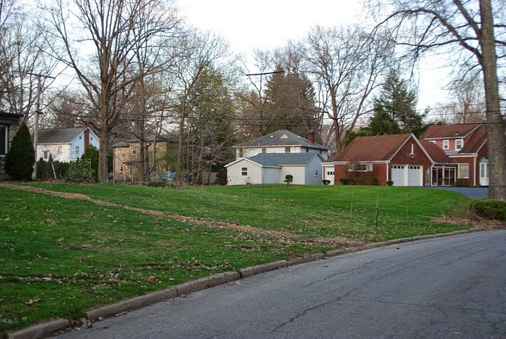 The Birch Walk, before (2014) and after (2023)