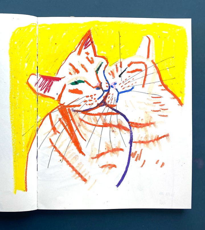 A selection of oil pastel drawings in a sketch book. Bold, vibrant colours and expressive marks.