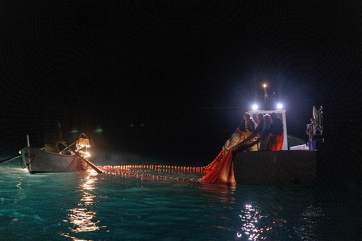 Fishing for anchovies at night in the Cilento