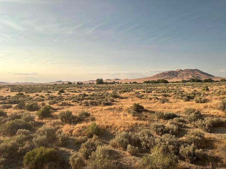 Views of Nevada: desert and grass