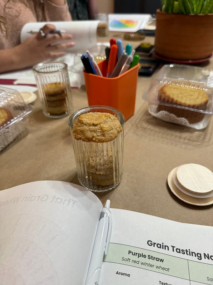Grain tasting table set up with shortbread cookies