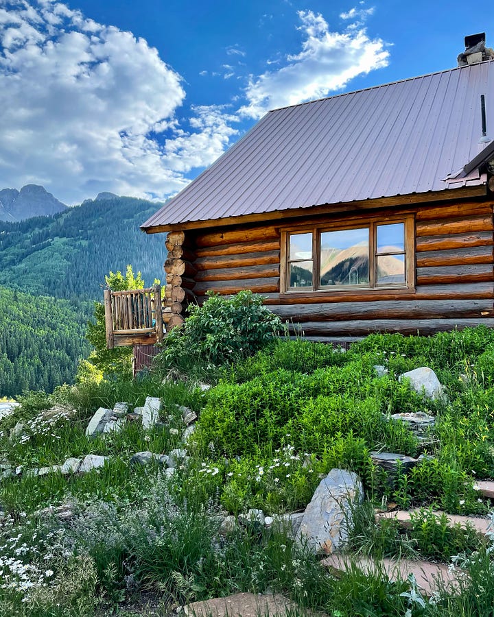 log cabin with unruly garden