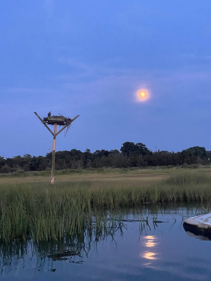 Sun and moon over the marsh while kayaking