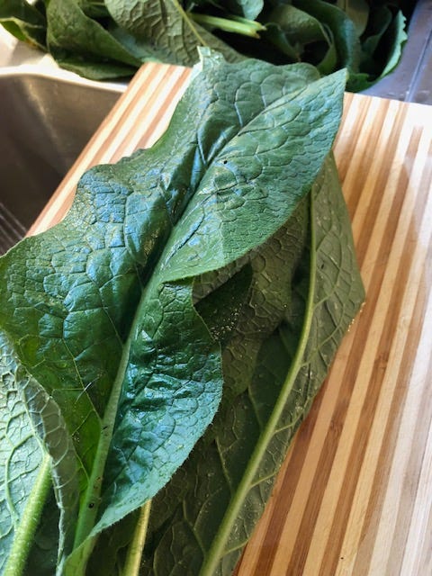 making comfrey leaf tea