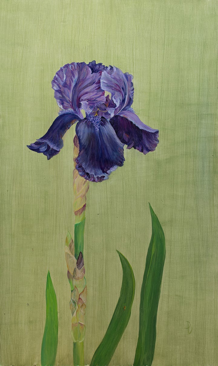 oil paintings on board of Cebric Morris Benton irises