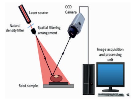 AI Based Soyabean Seed Viability Sensor for Assessment of Seed Quality