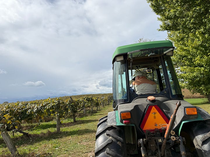 Scenes from a pumpkin patch in Michigan. Casey, Basil, Hayden, Henry and Ellie ride a tractor wagon. The farm owner drives a tractor. The vineyards. Gourds growing on trellises.