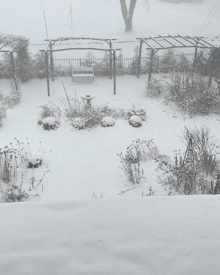 Snowy days, like the ones this week at Havenwood, are good ones for some garden dreaming...