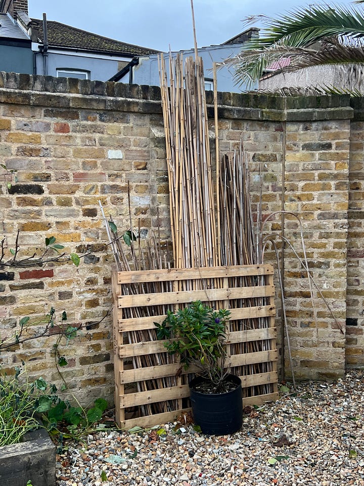 a bamboo cane storage made form a wood pallet, adding compost to plants and transferring to containers, repairing holes in the polytunnel with duct tape