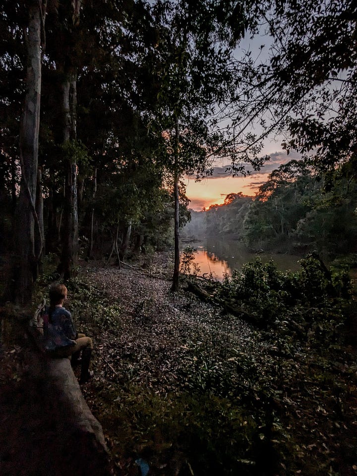 Our campsite: a view of the stars and the caiman who want to eat us.