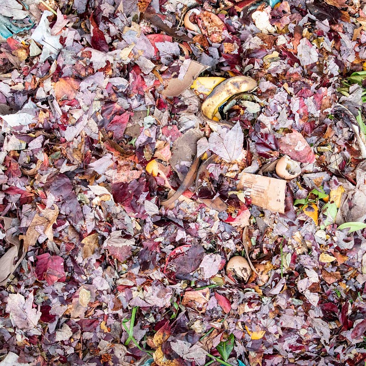 Compost, Thanksgiving, Leaves