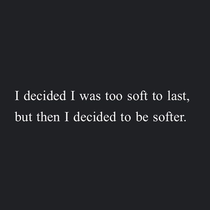 Image 1: I decided I was too soft to last, but then I decided to be softer. Image 2: Sometimes the most healing thing we can do is remind ourselves over and over and over— Other people feel this too. Image 3: All living is storm chasing. Every good heart has lost its roof. Let all the walls collapse at your feet. Scream 'TIMBER' when they ask you how you are. Image 4: Brave is a hand-me-down suit from Terrified-As-Hell.