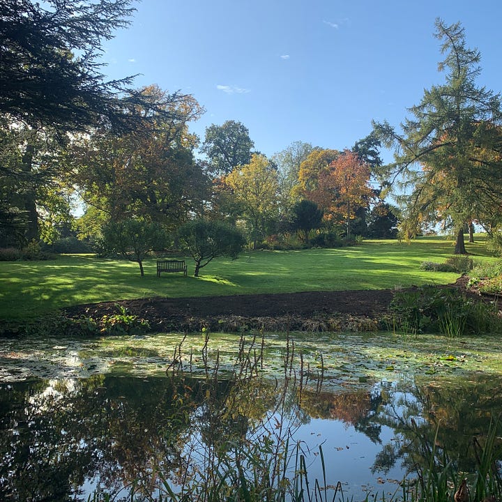 Landscape of a lake in the foreground with a lawn and autumn trees in the background alight with greens, oranges and yellows. 