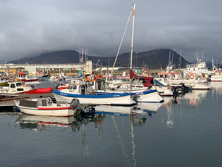 The working ports of Iceland