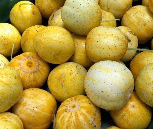 Farmers market cucumber varieties