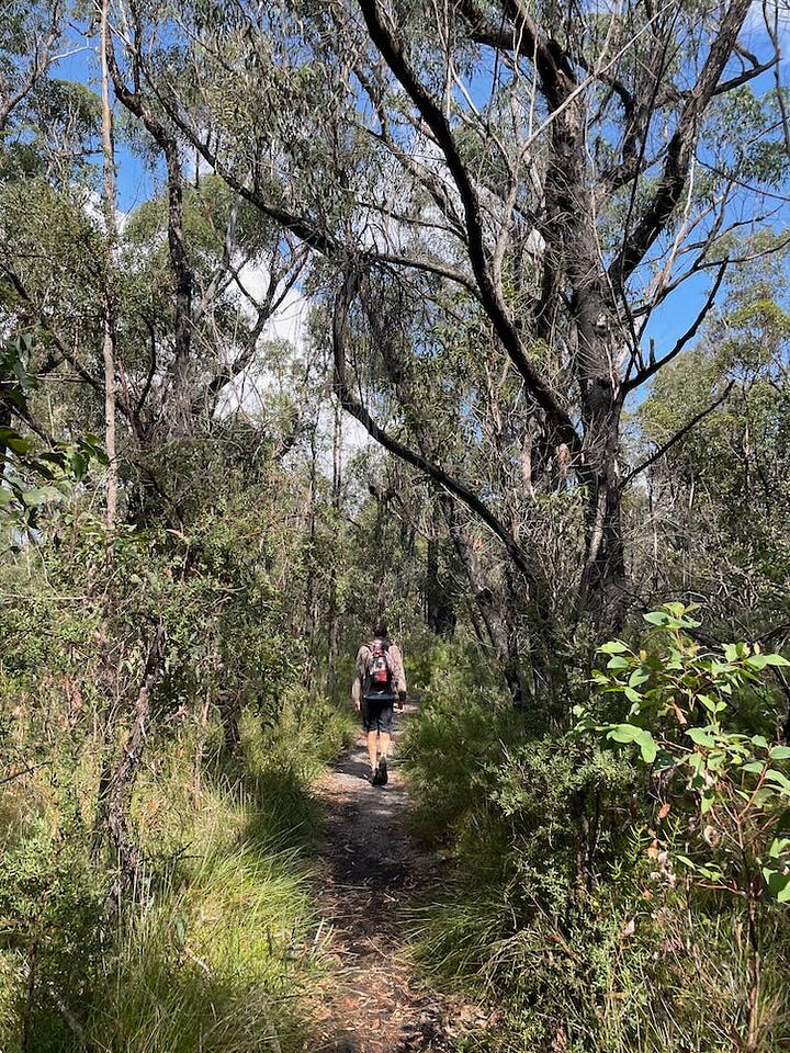 Walking Pigeon House Mountain Trail