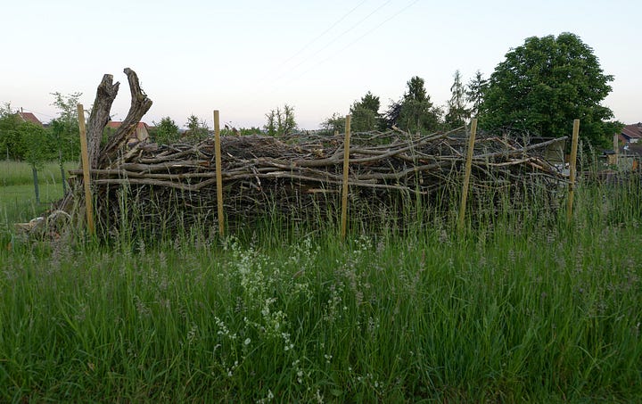 Dead hedge examples from Germany: the first with sticks in a meadow garden, the second with conifer branches in a field. Photos from Wikipedia