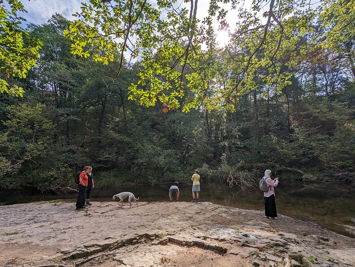 guided walk in the waterfalls area of the brecon beacons national park