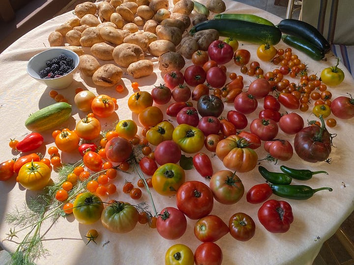 Vegetables grown from the garden.