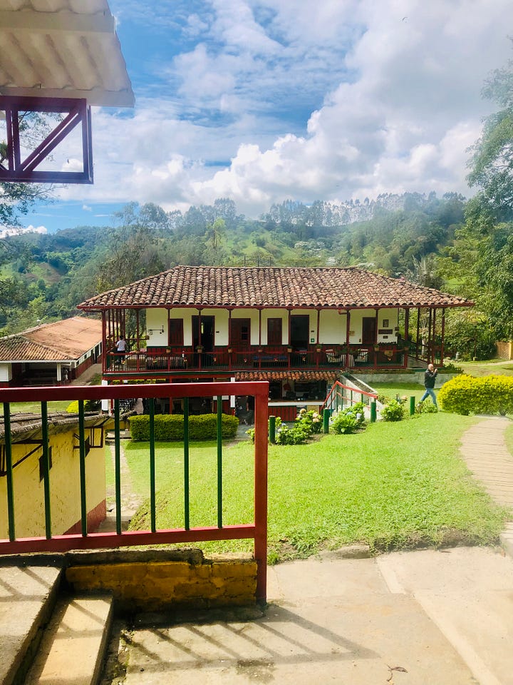 Ocaso farm coffee tour.