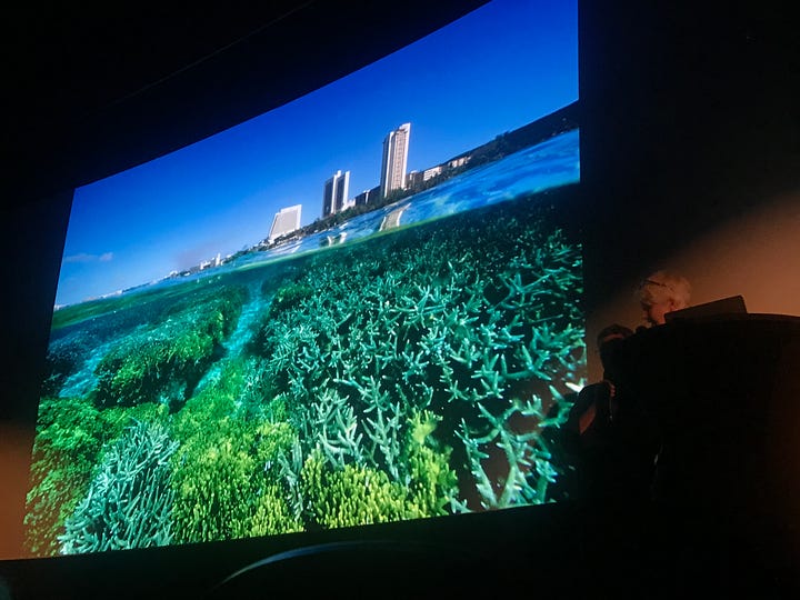 Photographs of Coral reefs in Guam taken a decade apart by David Doubilet & Jennifer Hayes