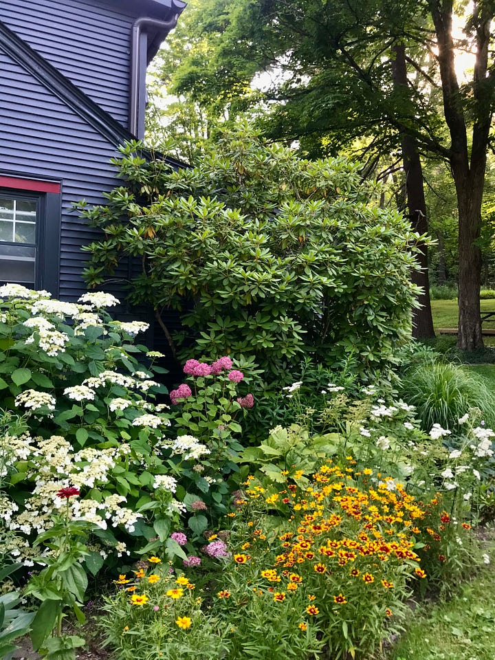 The image to the left shows an archway of greenery with Melina standing below it. The image to the right is an assortment of plants and flowering bushes growing alongside Melina's dark blue home 