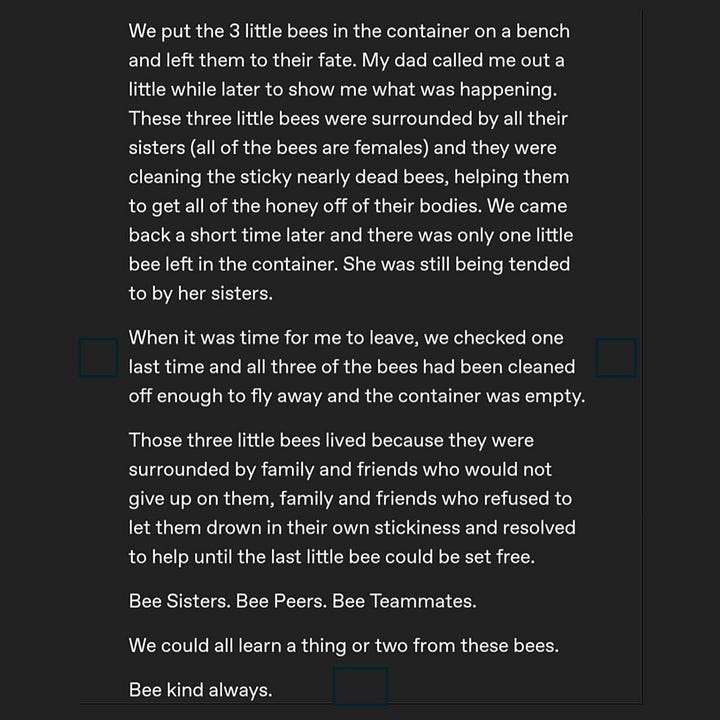 The two images show text describing how 3 bees who were covered in honey and looked like they would die, were saved by their Bee sisters, who cleaned them off and they survived.