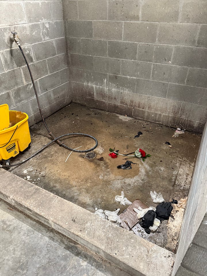 Left: flowers of many colors on an embankment in Tallahassee. Right: two roses on the ground in an industrial custodial wash basin.