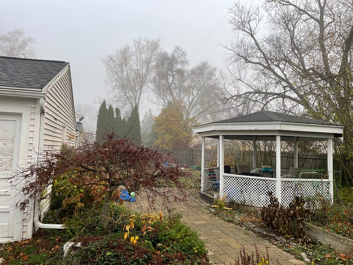 A woman wearing a hat that says "Inner peace MTHRFKRS". A fog-filled morning.  An infrared sauna lit with pink light.