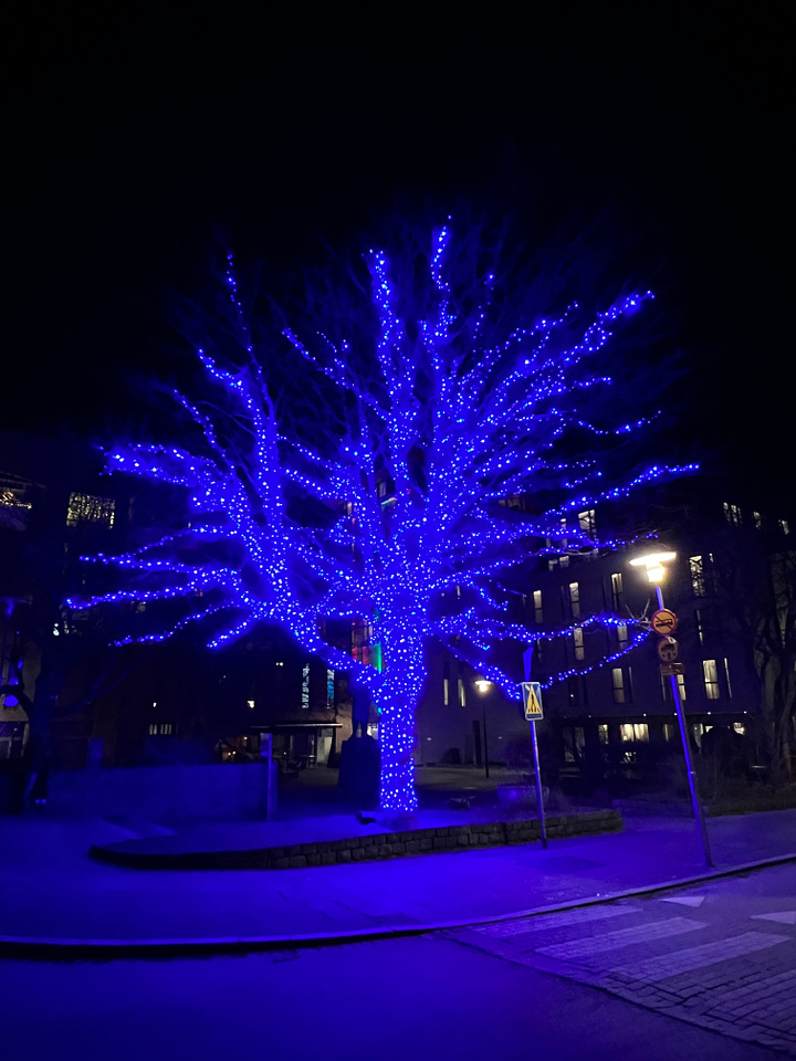 Christmas lights in Reykjavík 