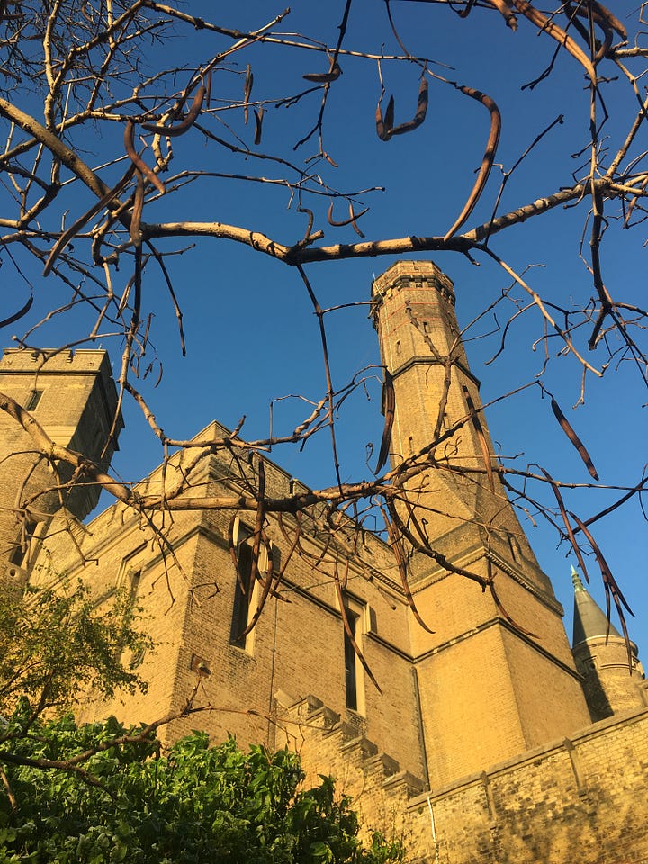 The Castle Climbing Centre on a winter's day; Another area of the main building with garden infrastructure on show.