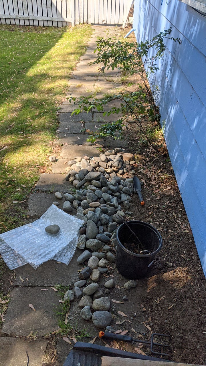yard landscaping