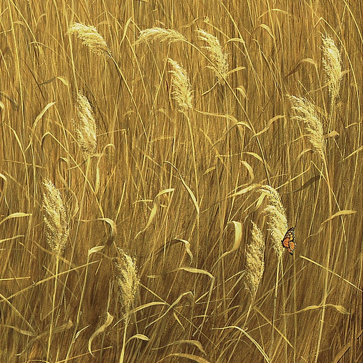 LEFT: Figure detail from PATHLESS featuring a barefoot woman in a long black dress with subtle purple accents at the waist, cuffs, and neck. Her feet are awkwardly position on a rock in the path through a golden field of wheat. As she cranes her head back, her fingers touch the thin black band around her neck holding a broach. RIGHT: Detail from PATHLESS featuring an orange butterfly perching on tuft of golden wheat blowing in the breeze.