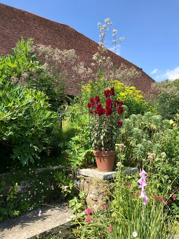 The Barn Garden at Great Dixter. Photos by Julie Witmer, June 2017