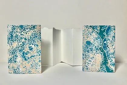 Two foldable handmade books, one with a teal splatter cover and one with a pink flower petal cover.