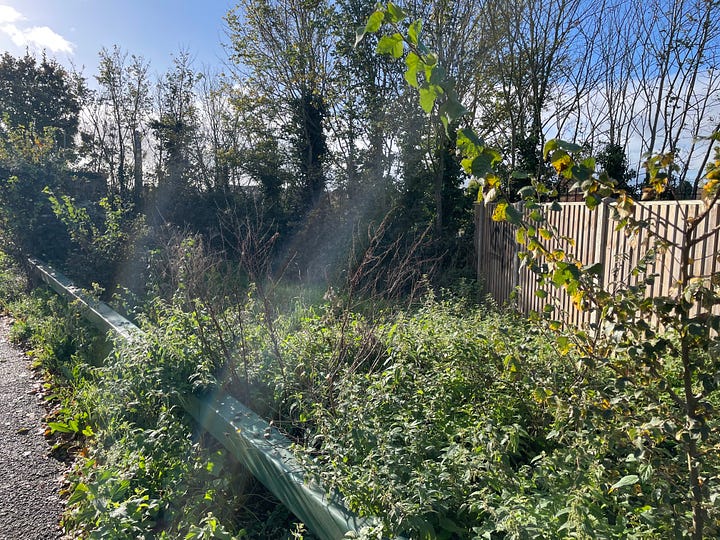 Trees, hedges, and plants on roads and at stations