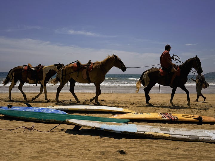 Different images showing different beach elements and landscapes of Tamarindo, Costa Rica