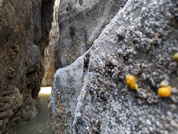 Guided beach day in wales