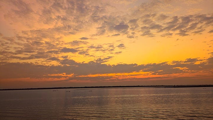 Dawn on the Amazon