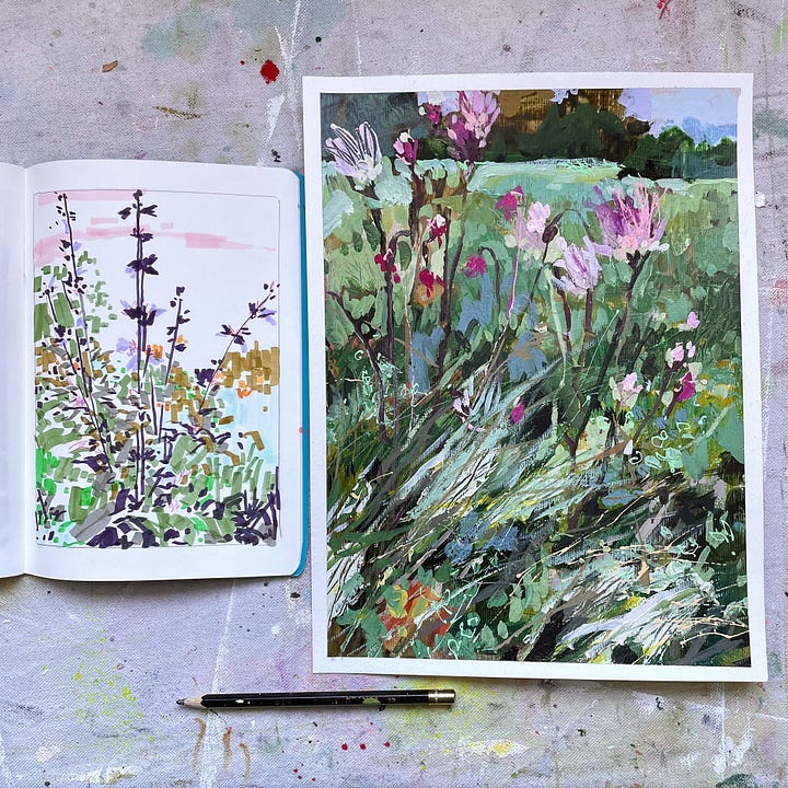 Paintings and drawings of prairie wildflowers by artist, Jennifer Mohr