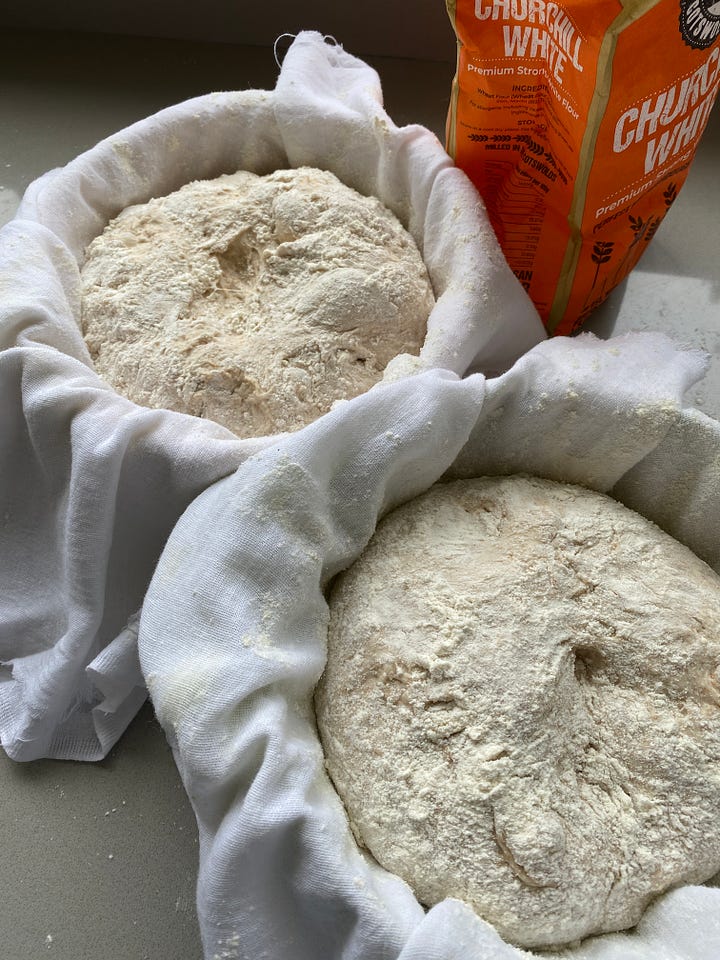 Bowls lined with muslin and dusted with flour.