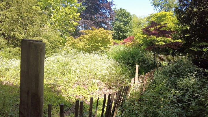 5 photos. Sherborne Castle and Gardens. The cascade waterfall, views of the lake and flowers. Images; Roland's Travels