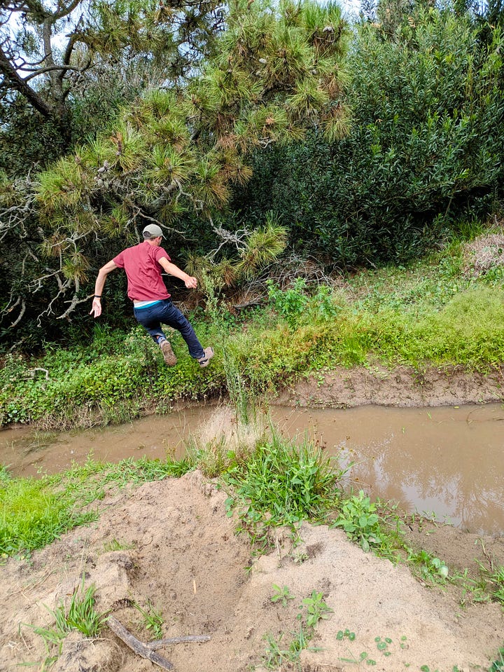 Dave makes a majestic leap across the moat; the dogs look sorry