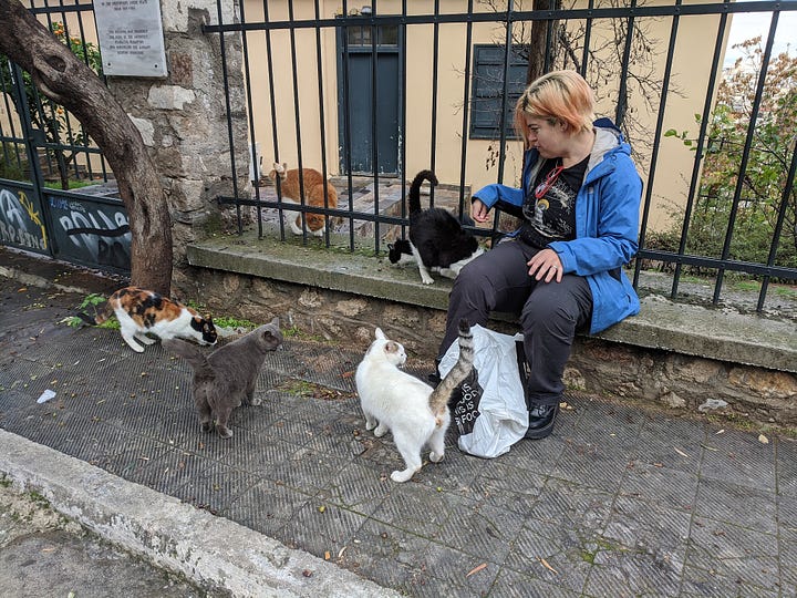 A gallery of the many friendly cats of Greece. There were quite a few caretakers who minded the cats, feeding them and getting them spayed/neutered. Many cats had designated shops or restaurants they lived in. Almost all of them were friendly. 