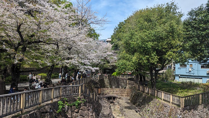 A return to Asukayama Park