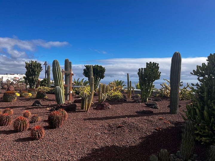 photos of natural scenes on Tenerife